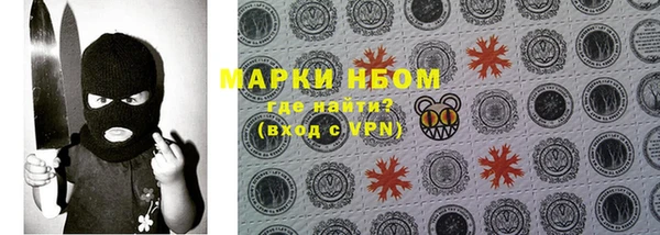 PSILOCYBIN Арсеньев