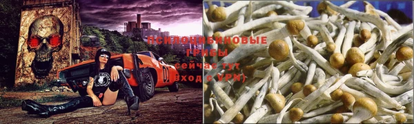 COCAINE Аркадак