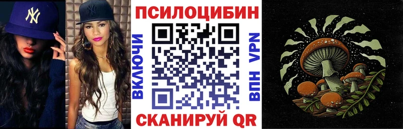 дарк нет какой сайт  блэк спрут маркетплейс  Тайшет  где найти наркотики  Галлюциногенные грибы GOLDEN TEACHER 